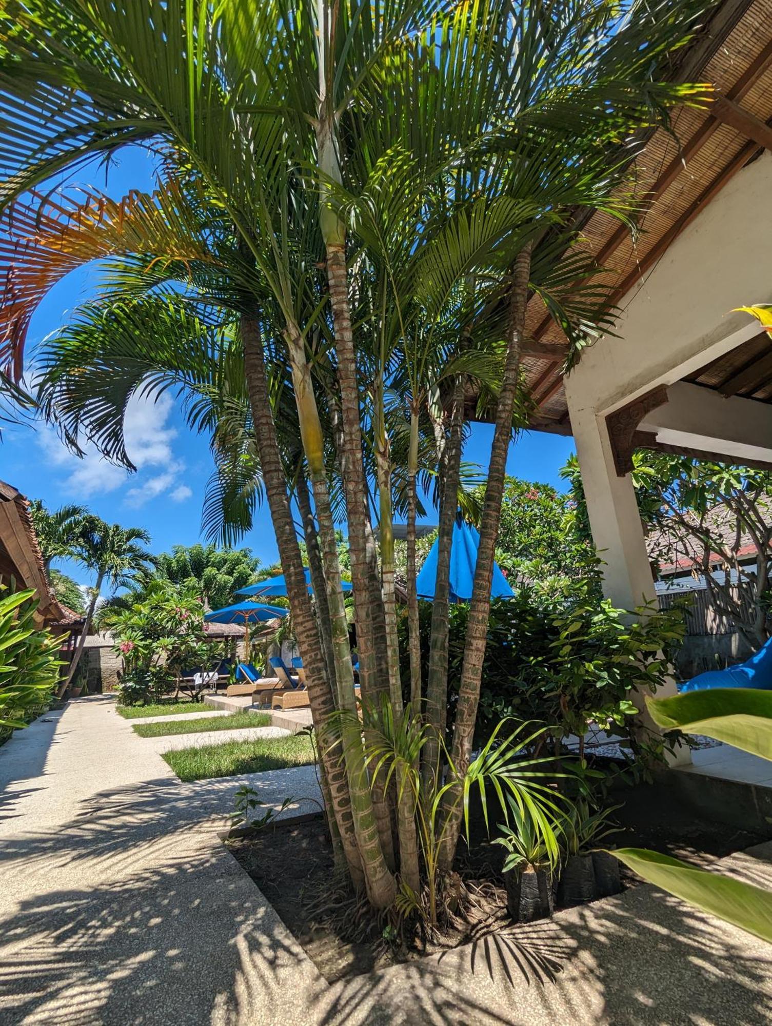 Indigo Bungalows กีลีตราวางัน ภายนอก รูปภาพ