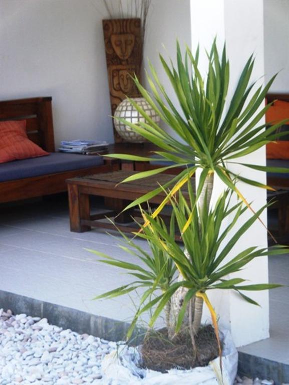 Indigo Bungalows กีลีตราวางัน ภายนอก รูปภาพ